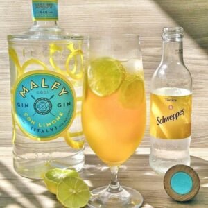Gin Tônica com Tangerina