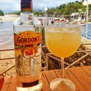 Gin Tônica de Abacaxi